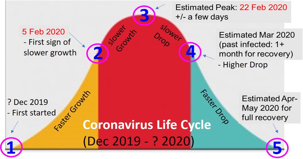 Coronavirus Stock Market