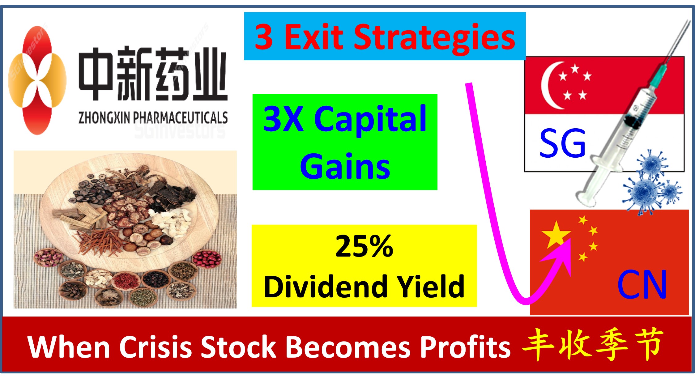 MC Intrinsic Valuation and Fundamental Analysis - LVMH Moet